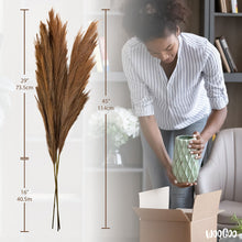 Load image into Gallery viewer, Woogoo Faux Pampas Grass Large - 114 cm Tall &amp; Fluffy Pampas Grass - Set of 3 Artificial Stems - Dried Pampas Grass for Wedding, Vase, &amp; Boho Home Decor - [Beige]
